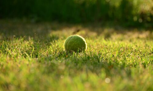 Reverrons nous un jour une "bataille des surfaces" en match exhibition ?